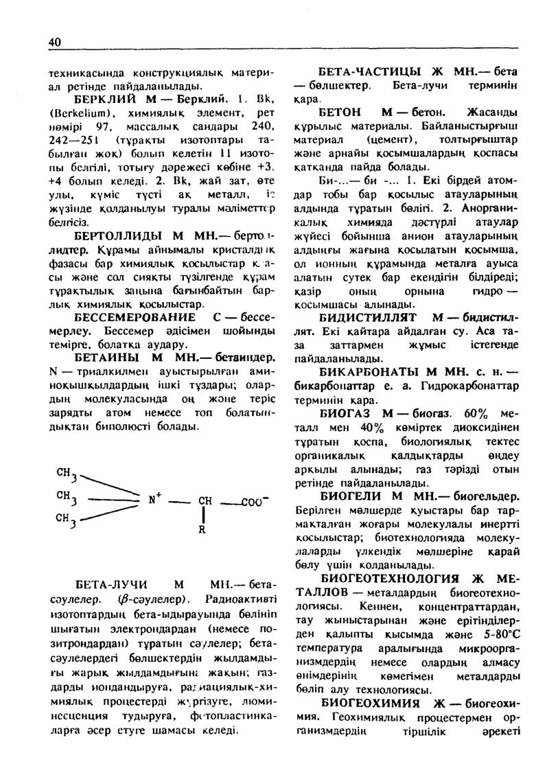 Бет 41
