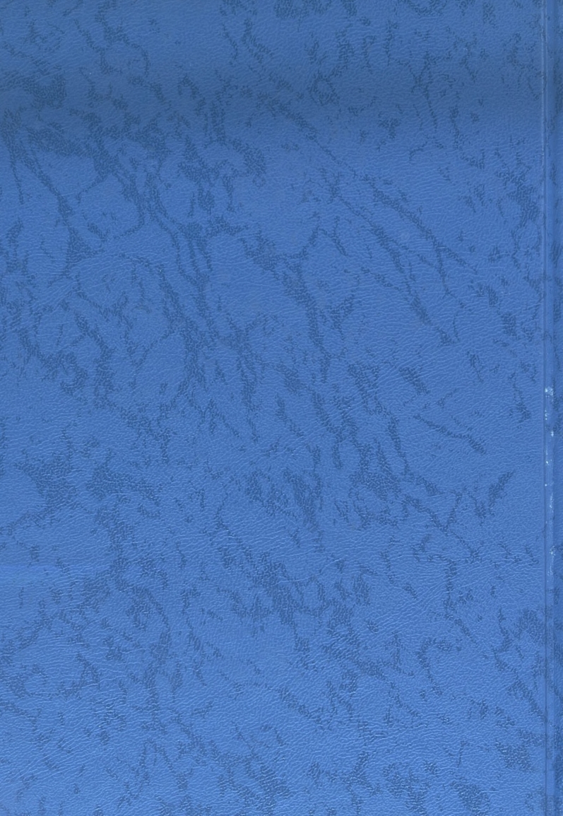 Бет 294