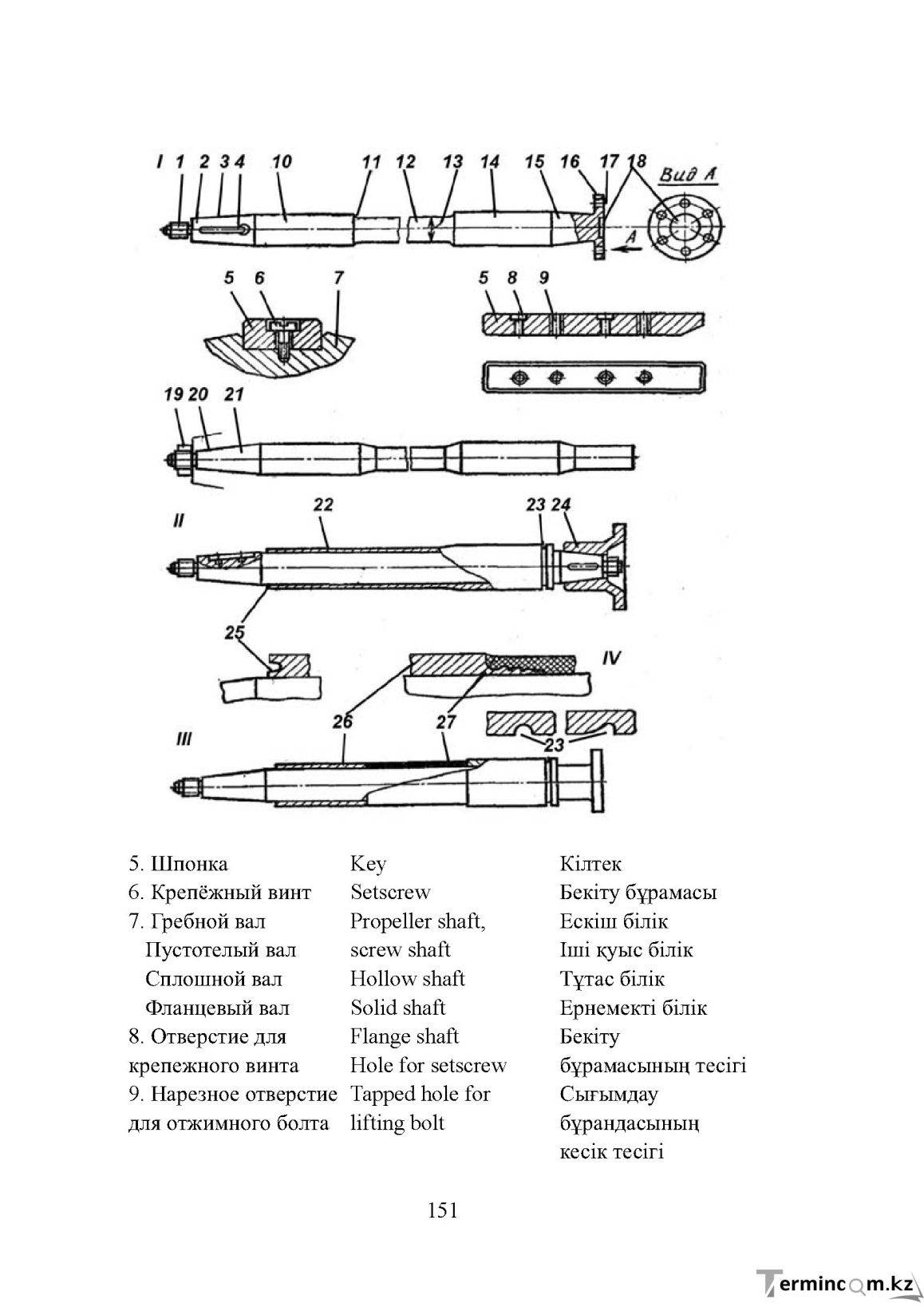 Бет 151