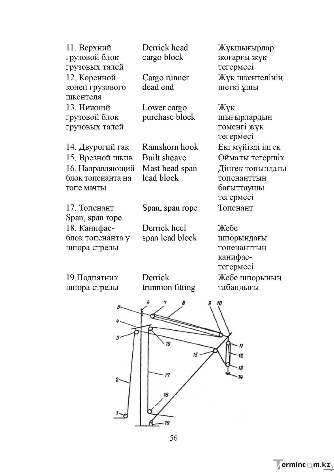 Бет 56