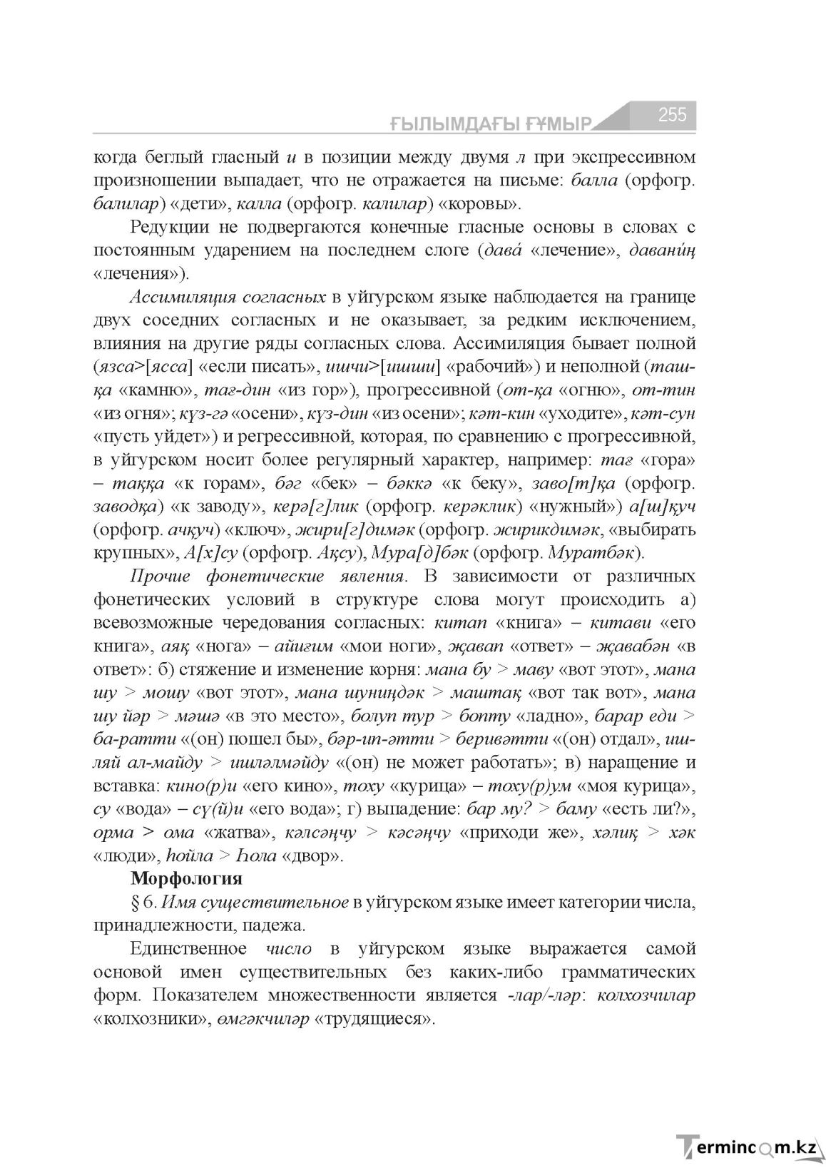 Бет 255