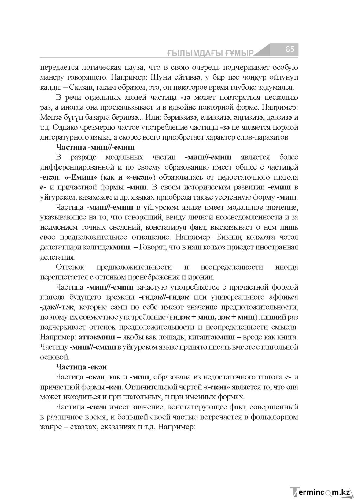 Бет 85
