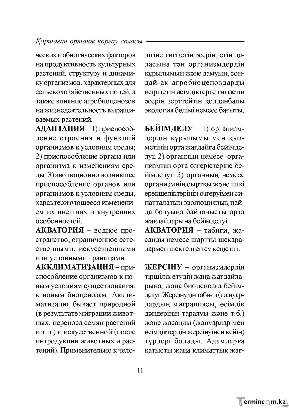 Бет 11