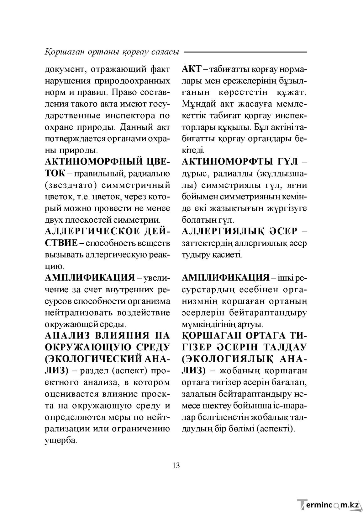 Бет 13