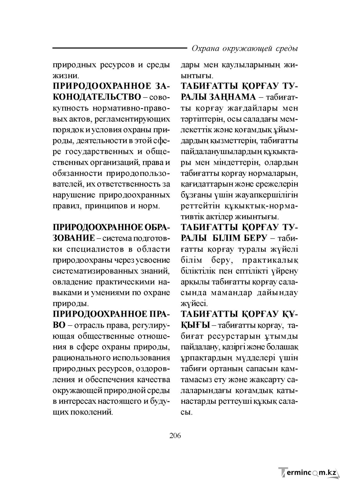 Бет 206
