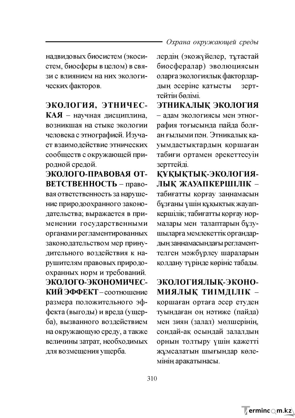 Бет 310