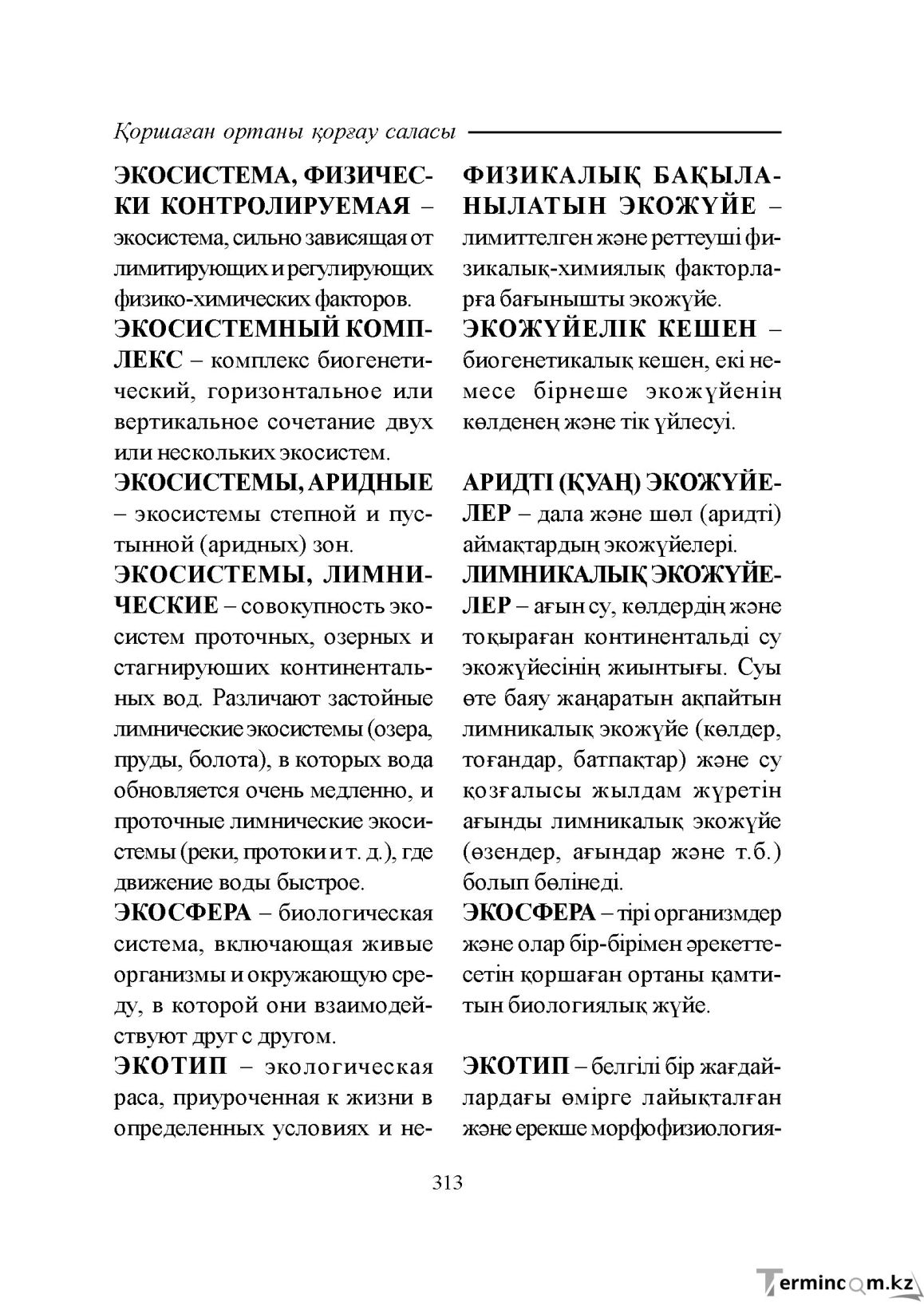 Бет 313