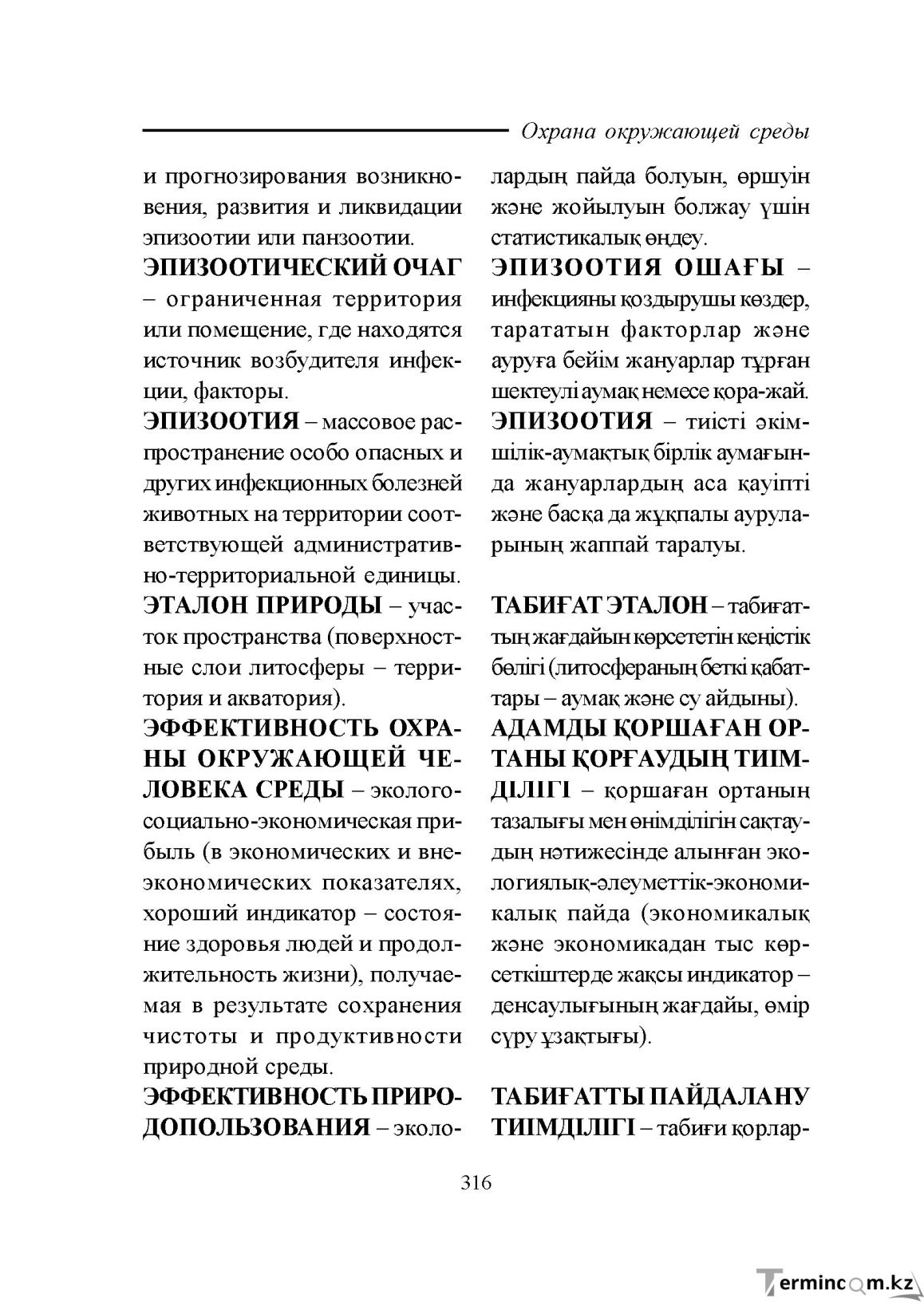 Бет 316