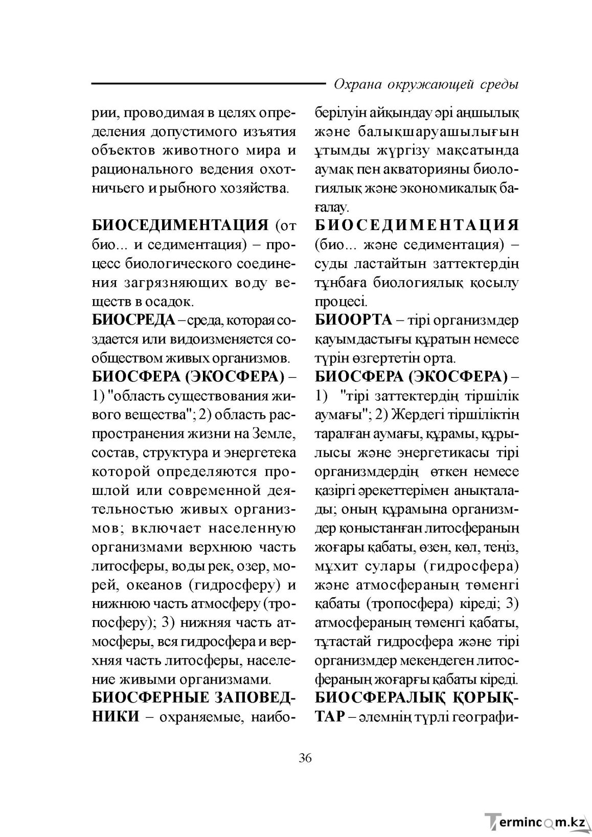 Бет 36