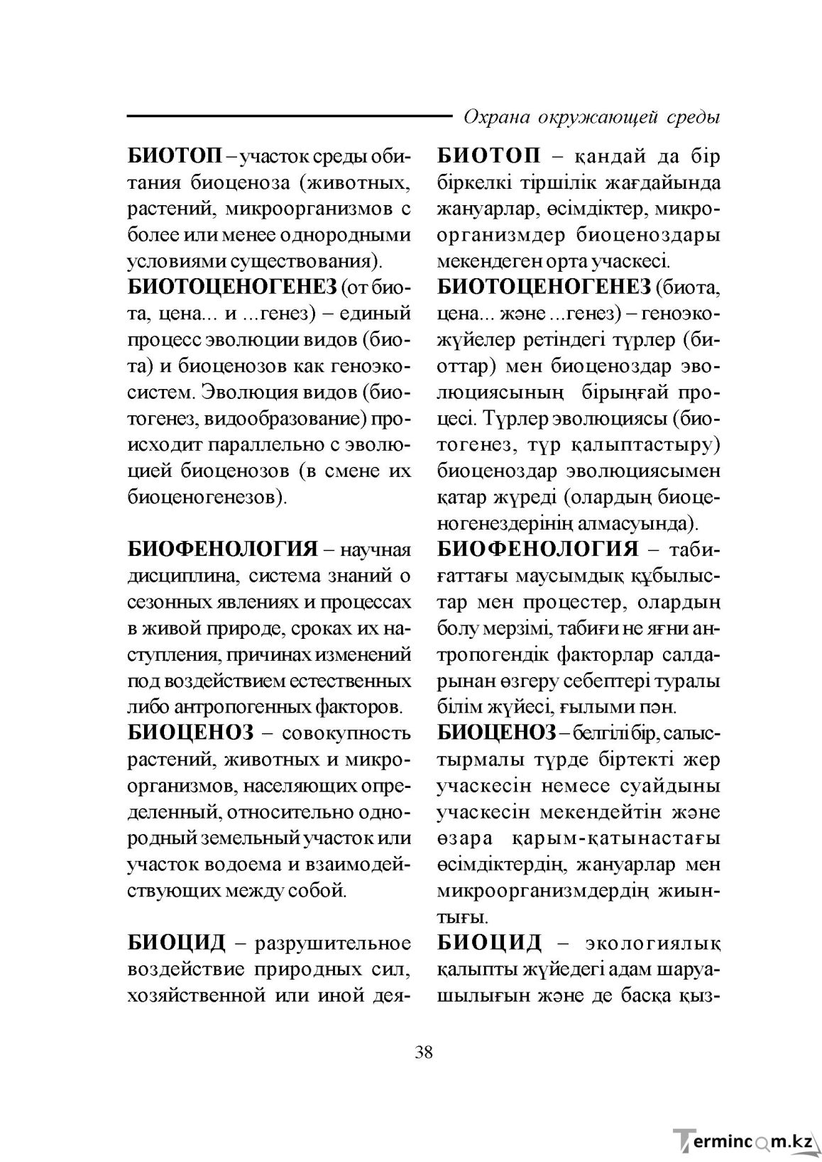 Бет 38