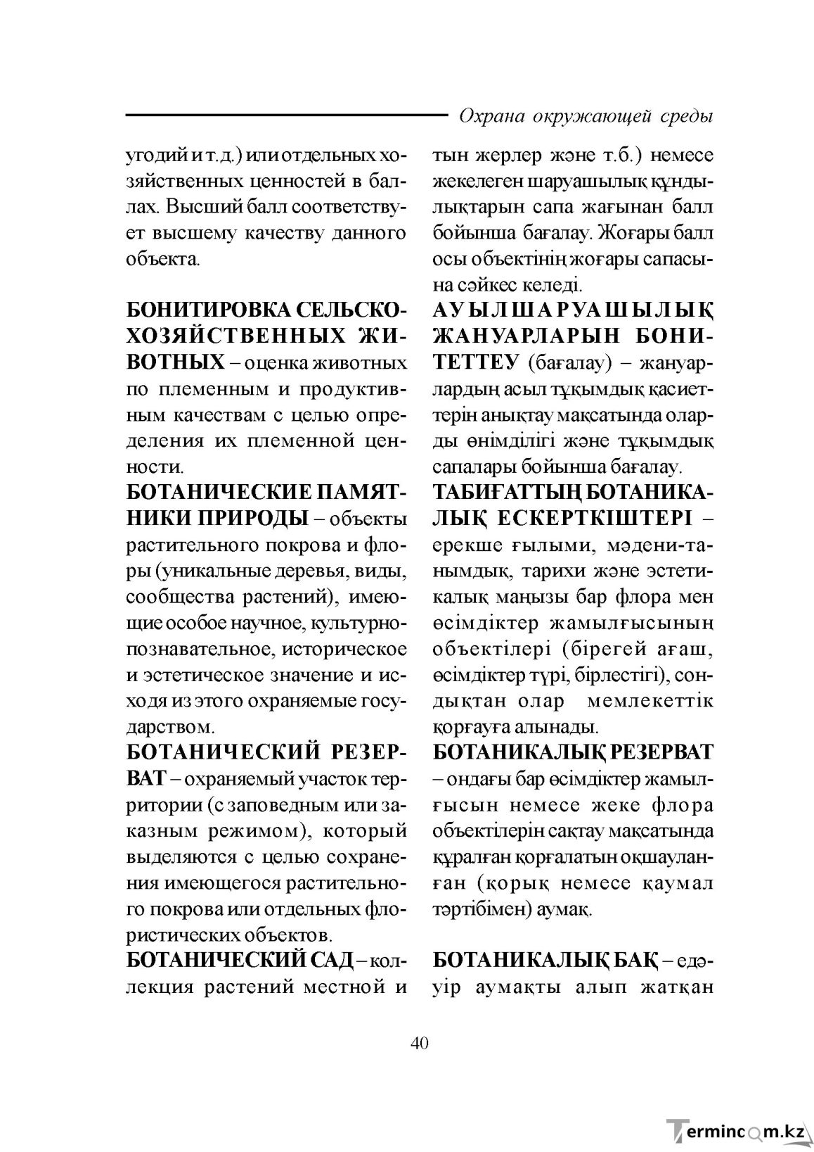 Бет 40