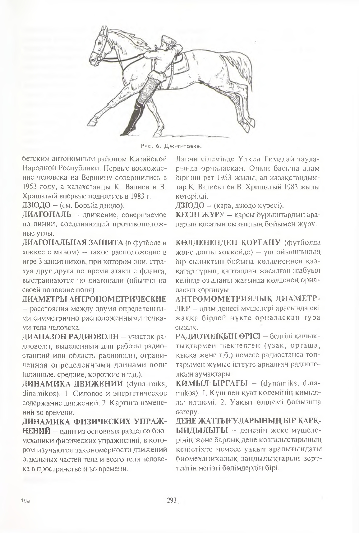 Бет 294