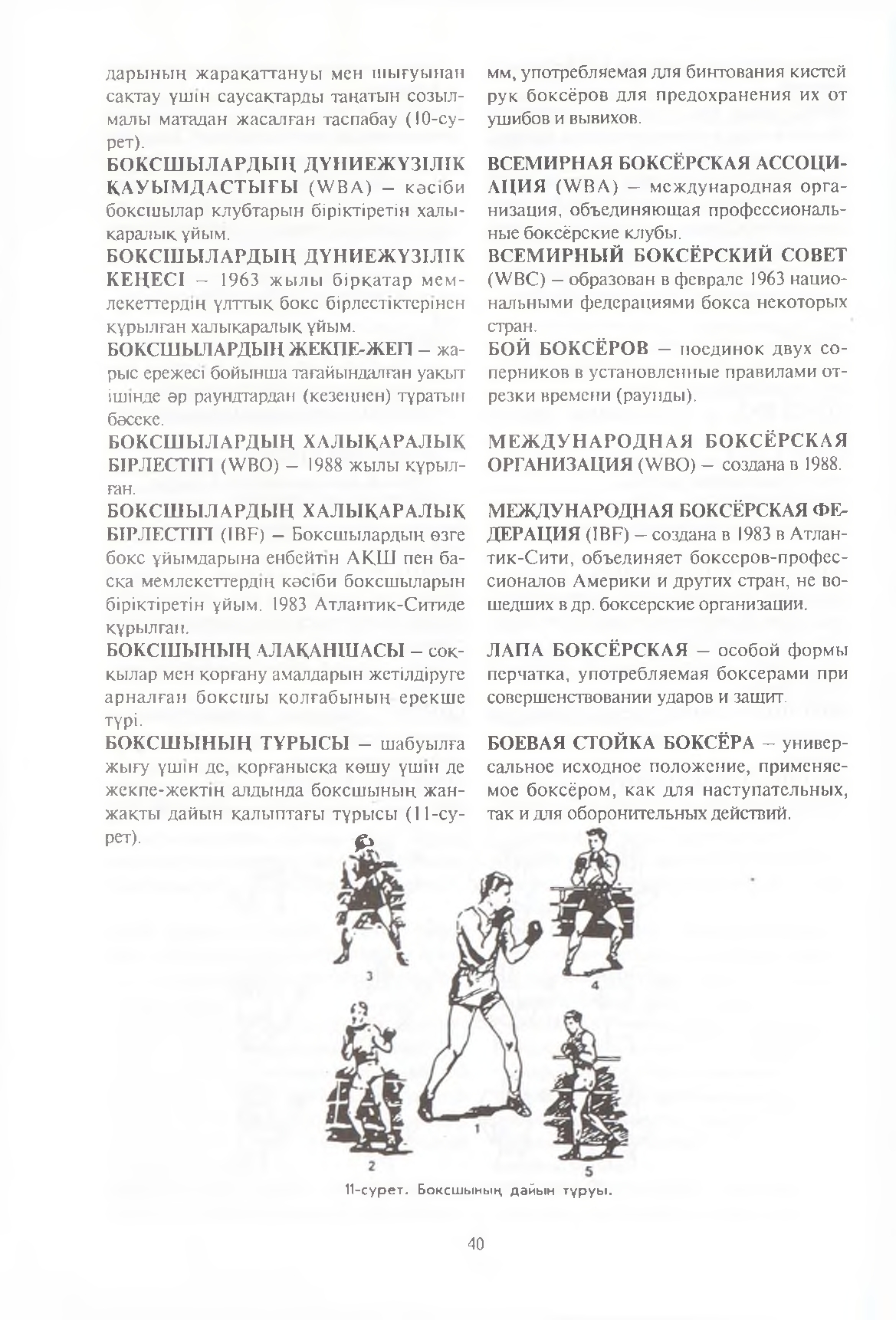 Бет 41