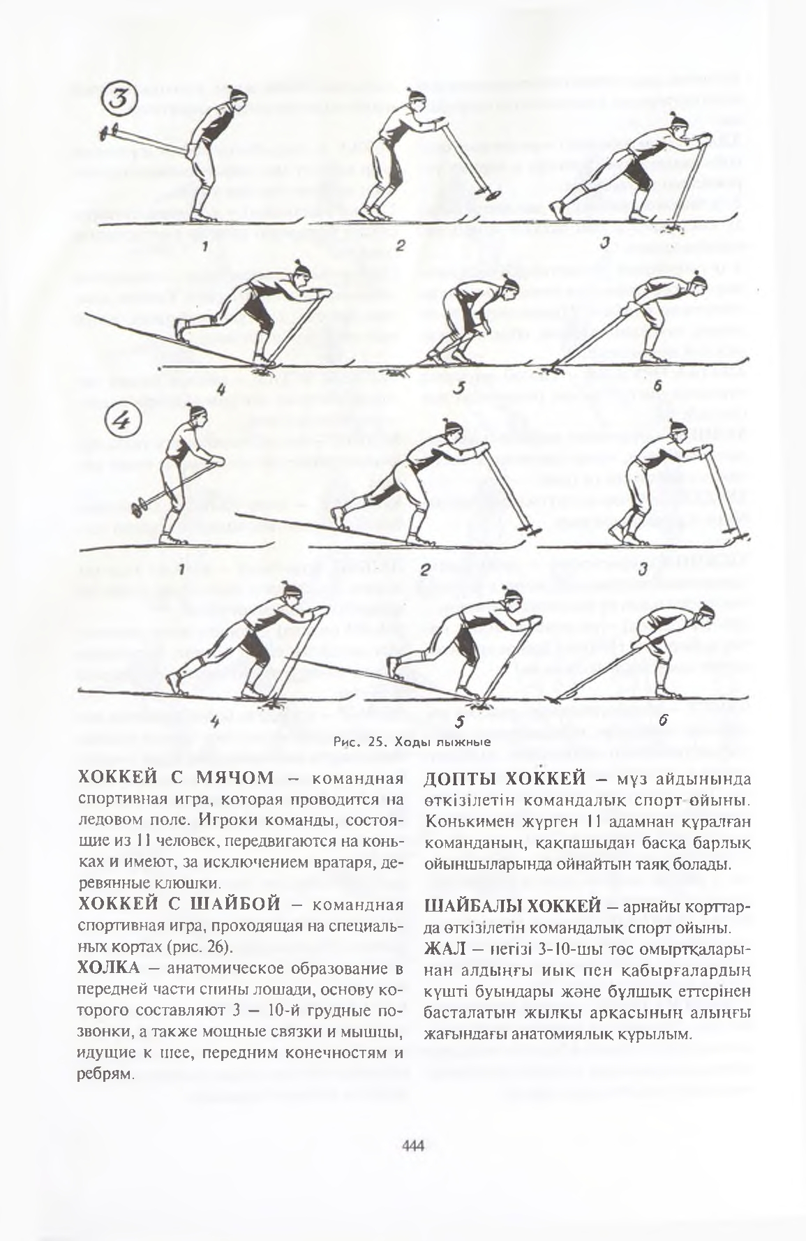 Бет 445