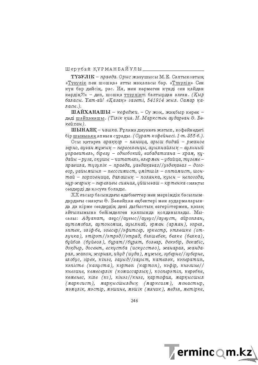 Страница 246