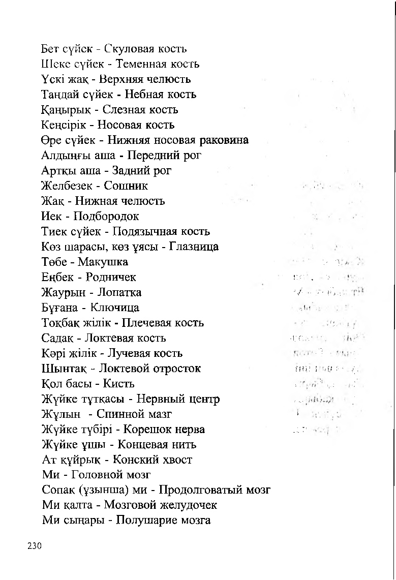Бет 232