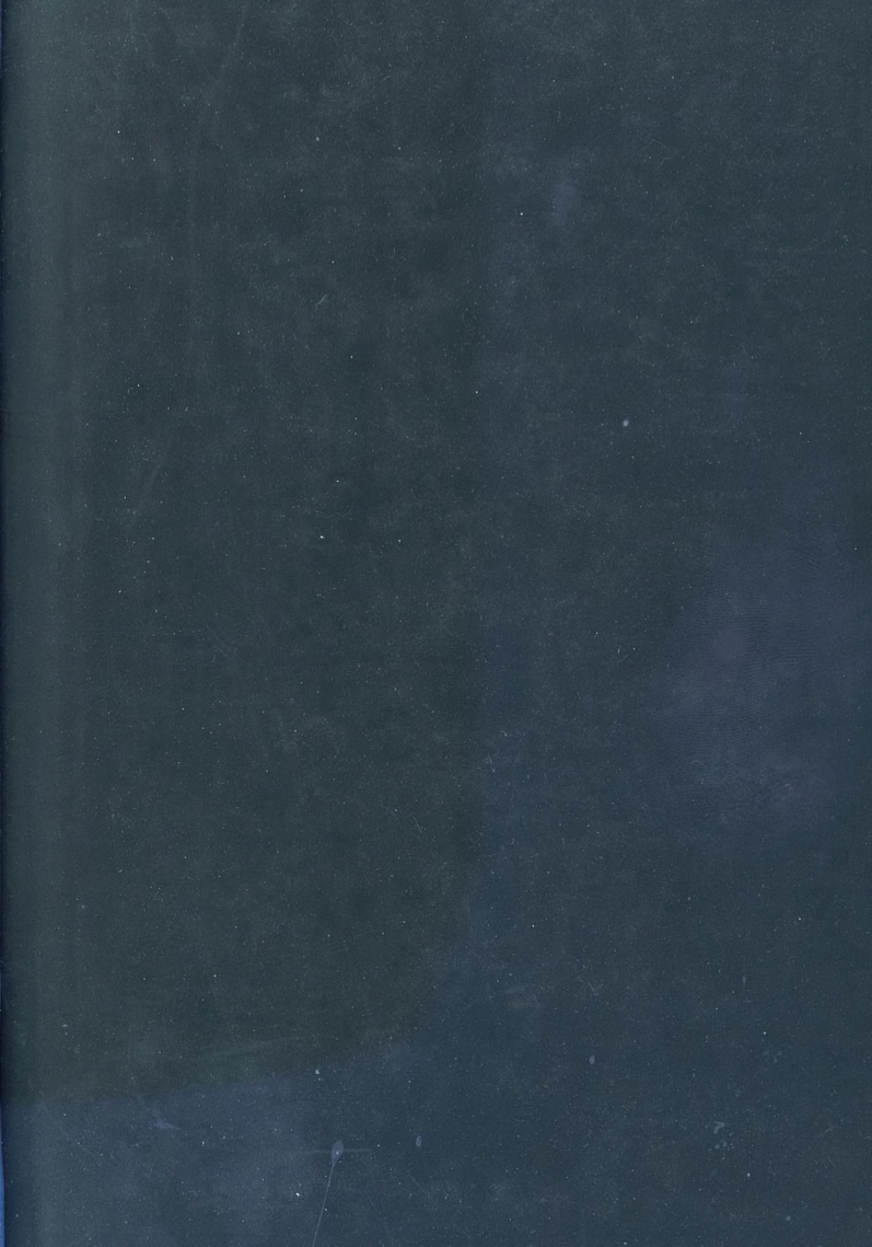 Бет 295