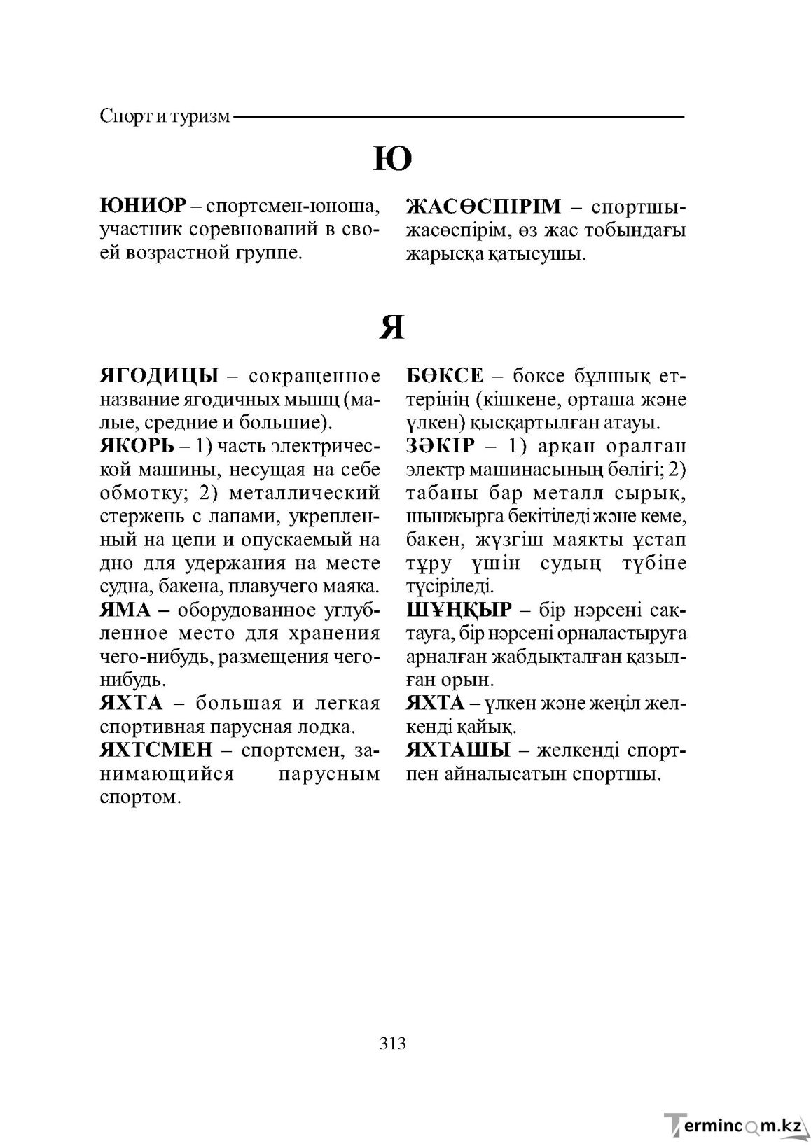Бет 313