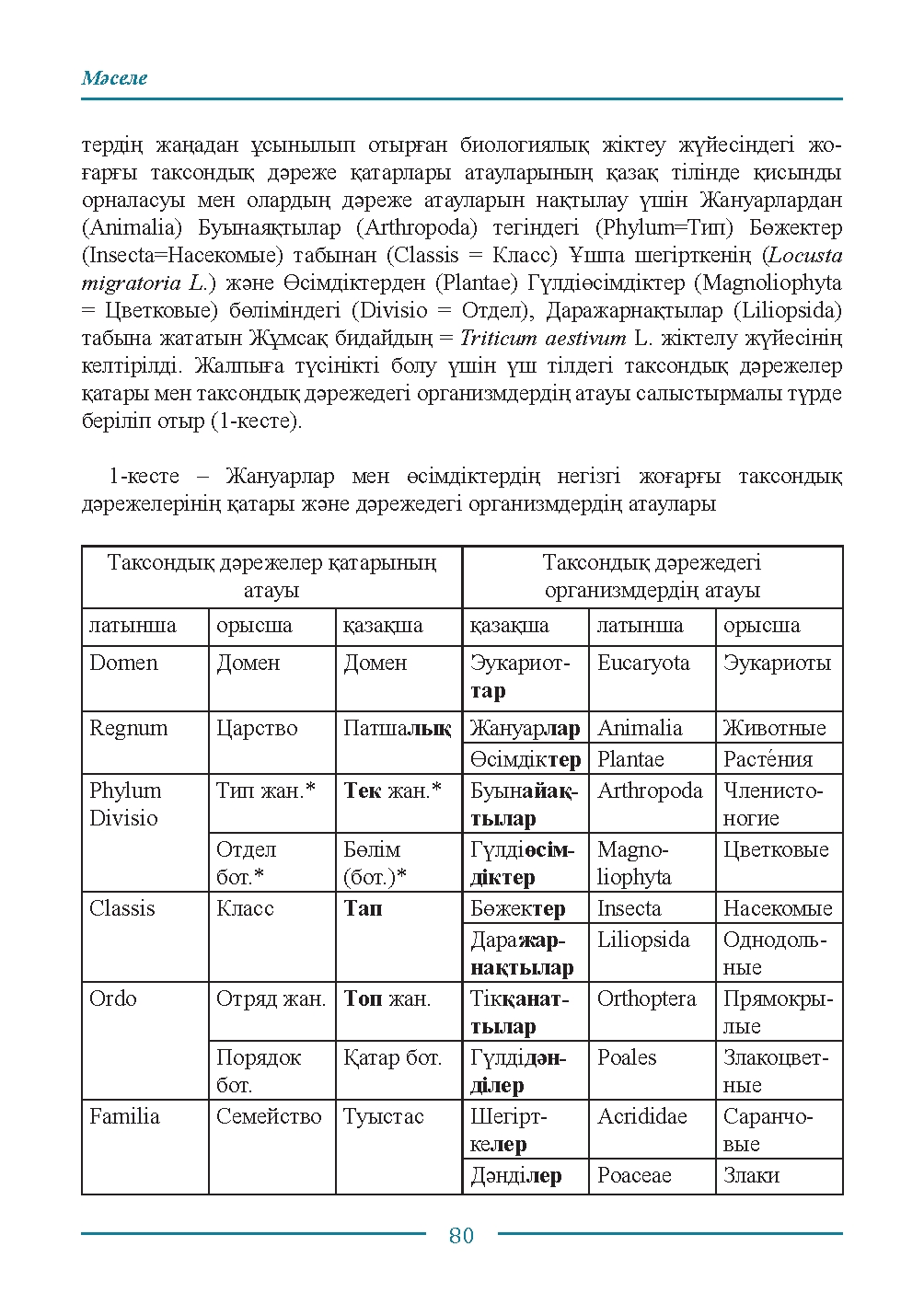 Бет 80