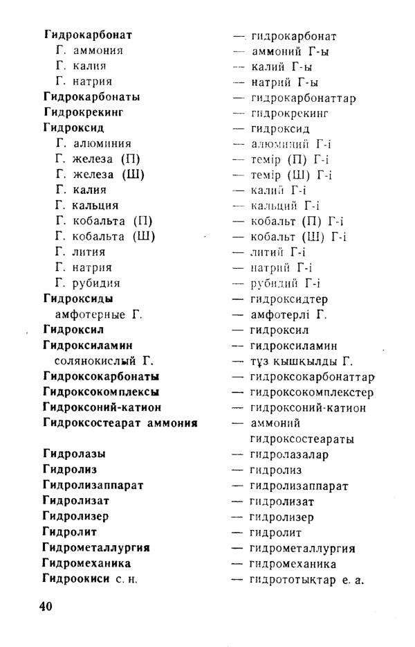 Бет 41