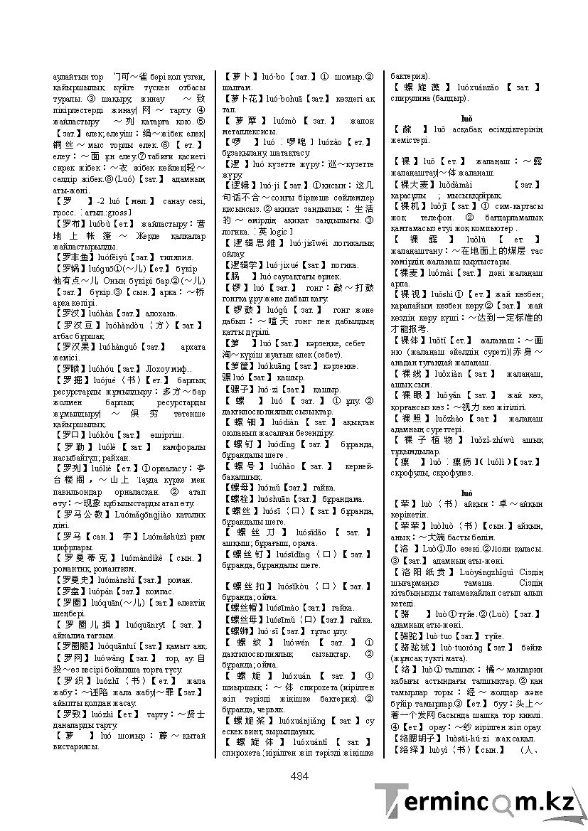 Бет 493