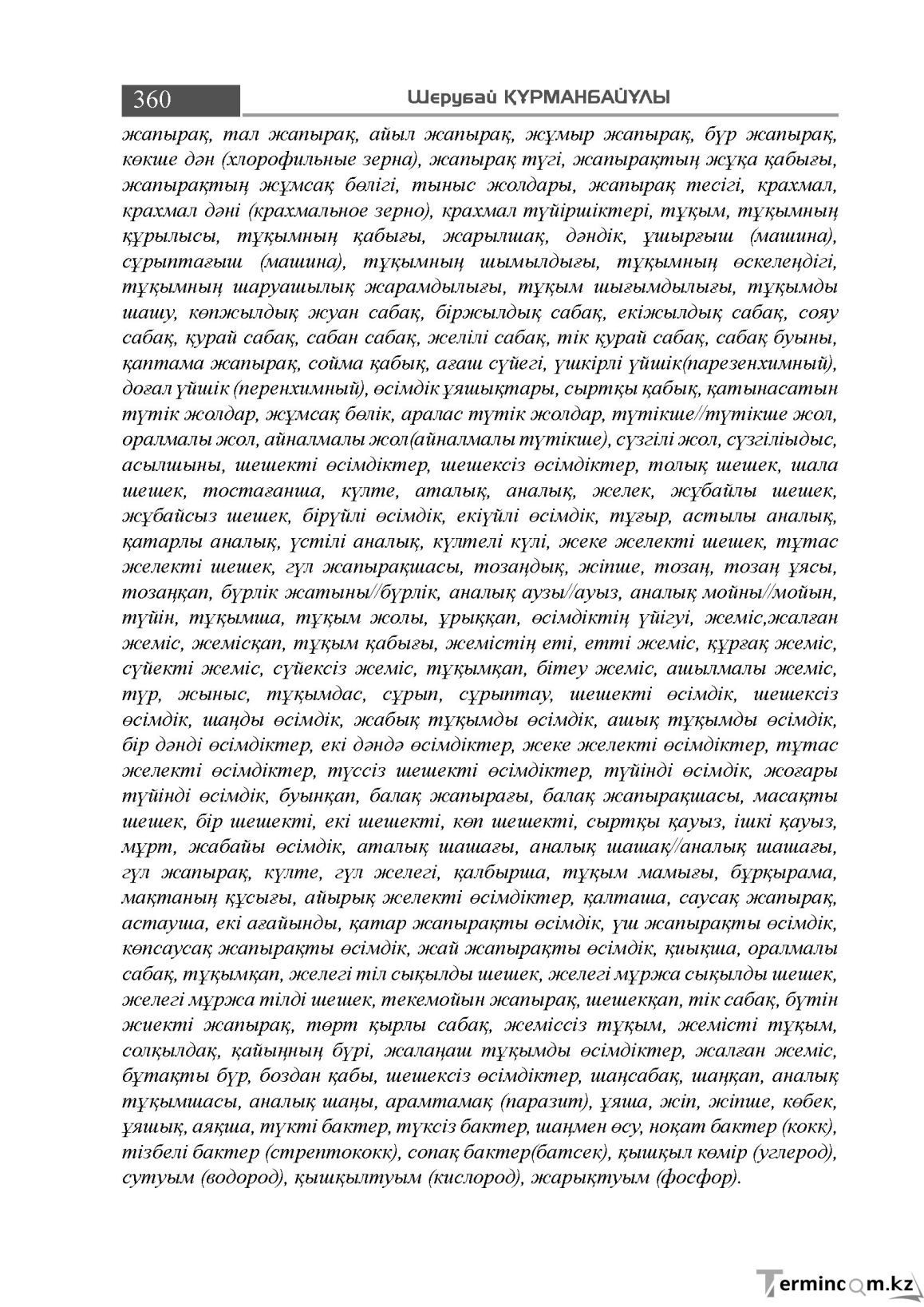 Бет 360