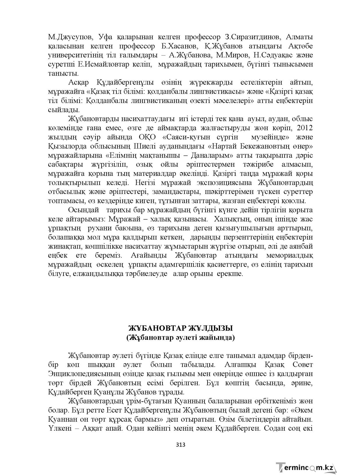 Бет 313